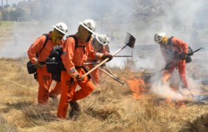 How California can train more incarcerated firefighters
